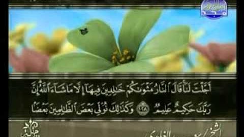 المصحف المرتل سورة الانعام بصوت الشيخ سعد الغامدي جزء 5