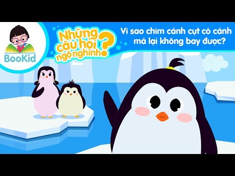 Khoa Học Cho Bé | Những Câu Hỏi Ngộ Nghĩnh | Tập 6