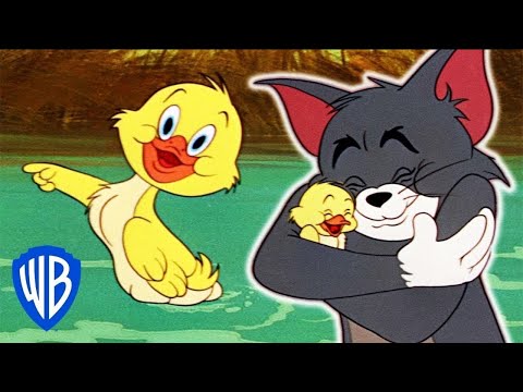 Tom y Jerry en Español | Los Mejores Momentos de Little Quacker | WB Kids