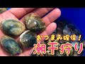 マテ貝&アサリ 潮干狩り おつまみ確保！