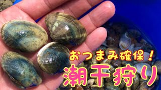 マテ貝&アサリ 潮干狩り おつまみ確保！