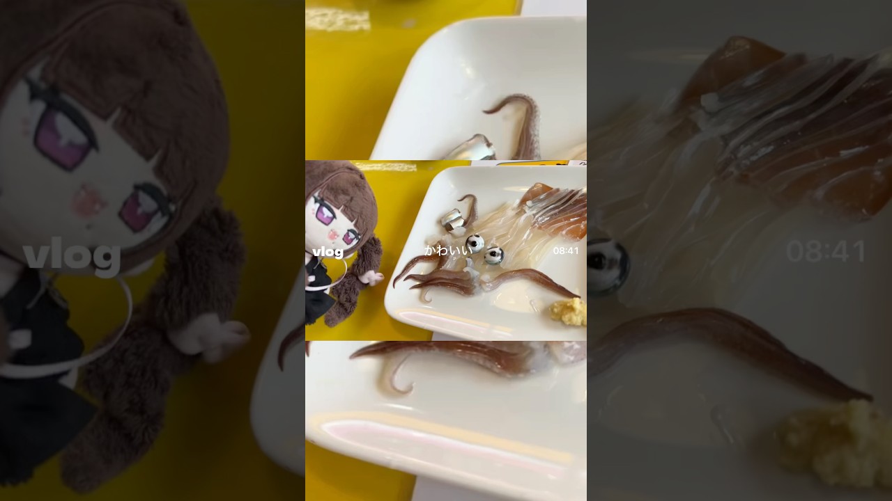 北海道3日目のせっとろぐ! #vtuber #北海道 #函館
