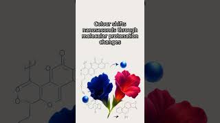 The Chemistry Behind Color-Changing Butterfly Pea Tea | FoodBlobs