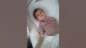Четырехлетний мальчик умирает от укуса гадюки в Волгограде