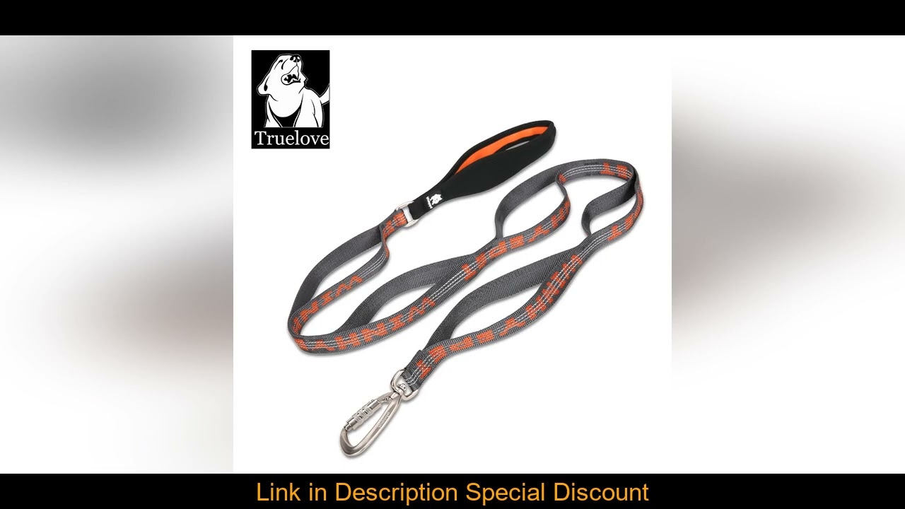 TRUELOVE Pet Leash Carabiner Traction Rope 3M Reflective Pull-resistant Nylon Webbing Big and Feroc