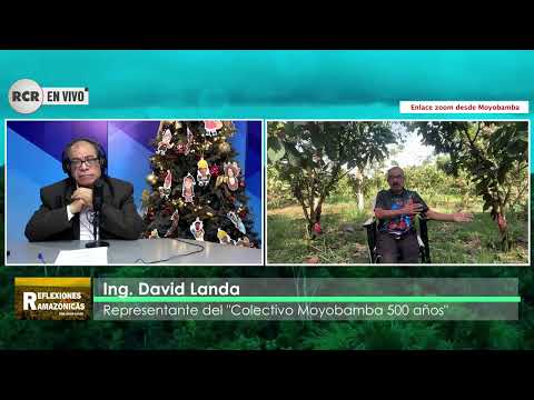 AMAZONÍA 2025: BALANCE AMBIENTAL EN UNA ENCRUCIJADA ESTRATÉGICA