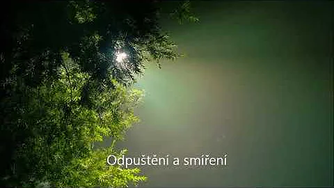 Co je zvratné sloveso?