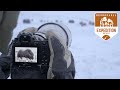 Wildlife Photography in -20°C | 4-Day winter trip to Norway - Ep.2