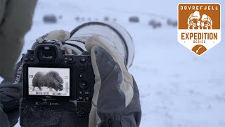 Wildlife Photography in 20°C | 4Day winter trip to Norway  Ep.2