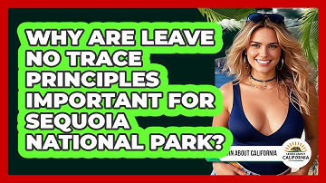 Why Are Leave No Trace Principles Important For Sequoia National Park? - Learn About California