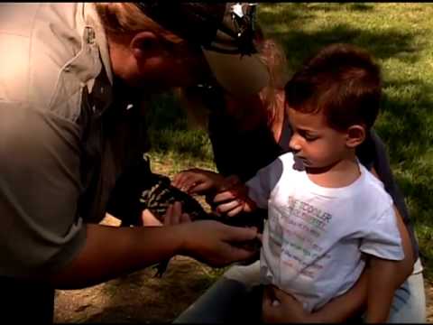 Lake Texana State Park, Texas [Official]