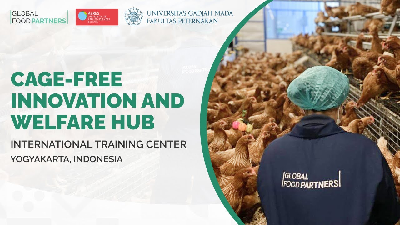 Cage-free Innovation and Welfare Hub, Yogyakarta - Indonesia