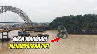 Download Lagu Penampakan Penghuni Sungai Mahakam, Misteri Ular Naga Penunggu Mahakam.!! MP3