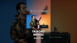 EHX Pico Triboro Bridge Multi-Drive Pedal Demo - YouTube