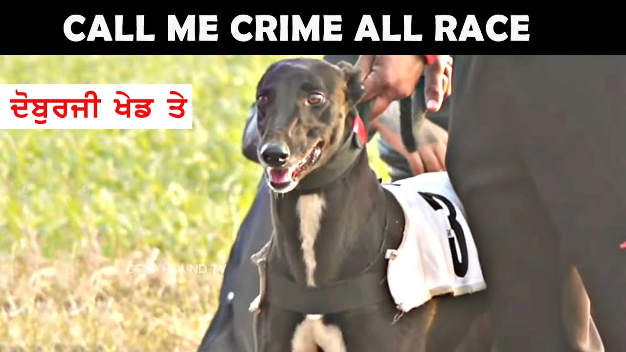 ALL RACE || CALL ME CRIME || 26-01-15 ||