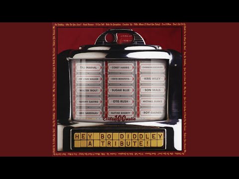 Putar Bo Diddley - Taj Mahal
