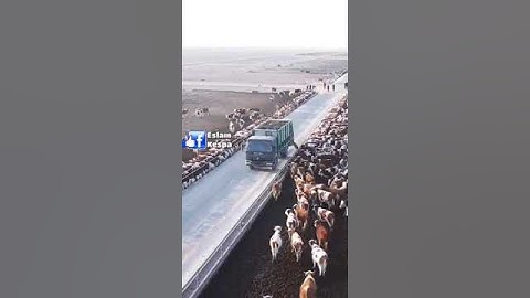 سبحان الله وبحمده قران كريم#حالات وتس اب#تلاوه خاشعة مريحة للاعصاب#هدوء #راحة نفسية