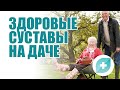 Здоровые суставы на даче