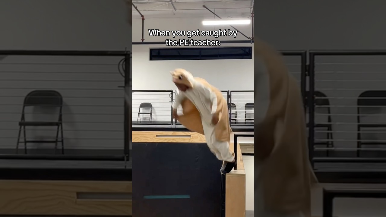 Every PE lesson In England Be Like… 