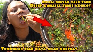 Download Lagu RESEP RAHASIA TUMIS KROKOT KAYA AKAN MANFAAT MP3 Download Lagu RESEP RAHASIA TUMIS KROKOT KAYA AKAN MANFAAT MP3