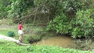 Awsome Fishing / Big Fishing / Fishing Technology / Catching Many Fish In The Lake