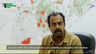 Roadkills App for Reporting Wildlife Deaths on Roads