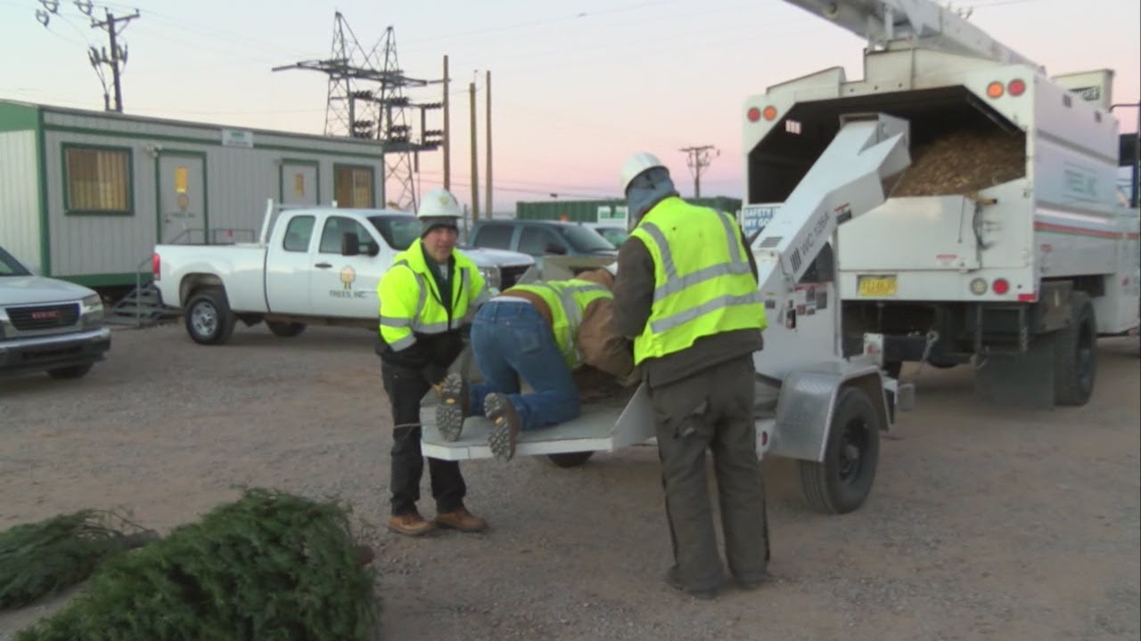 PNM offers free Christmas tree recycling