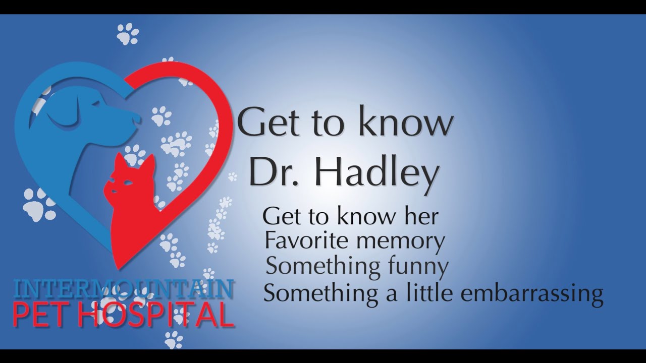 Get to know Dr. Hadley YouTube