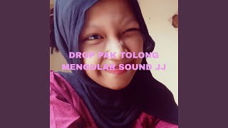 Download Lagu Drop Pak Tolong Mengular Sound Jj Download Lagu Drop Pak Tolong Mengular Sound Jj