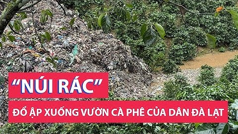 “Núi rác” của Đà Lạt đổ ập xuống vườn cà phê người dân