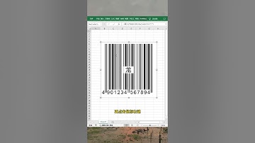 原来EXCEL也能制作二维码，太方便了#办公技巧 #EXCEL #文员 #职场 #每天学习一点点 #excel #办公技巧 #exceltips