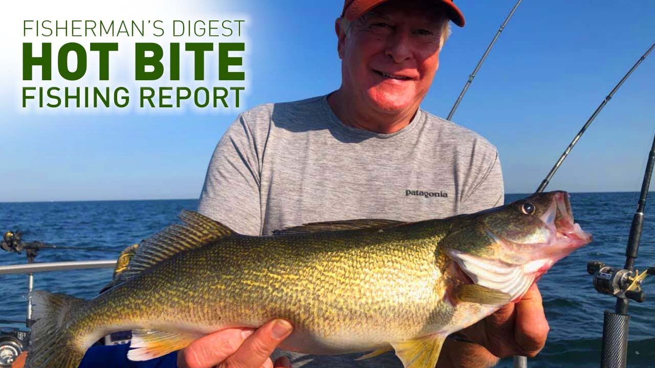 Lake Erie Walleyes and More!!! August 27th Hot Bite Fishing Report