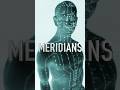 Meridians and Acupuncture Pionts in Qigong and Taijiquan