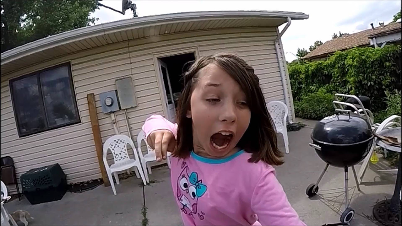 GatorWrestler303 Most Viral Videos of 2015