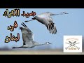 رف كرك وشكرا للصياد الفاشل صيد الكرك في لبنان