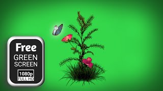 Flower Green Screen Video Effect Green Screen Flower Animation Flower Green Screen Background