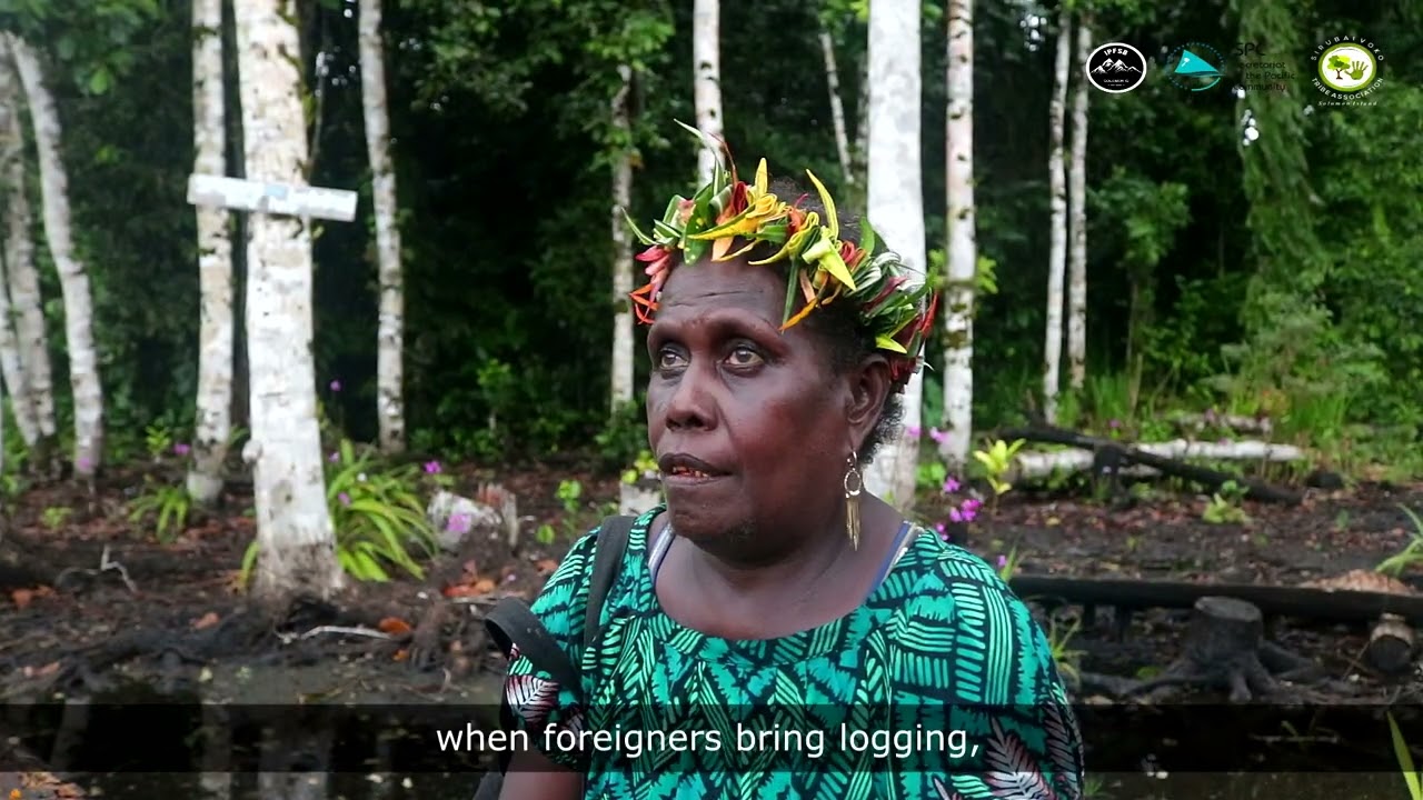 Pusiju Logging Forum _ Vella la Vella Island