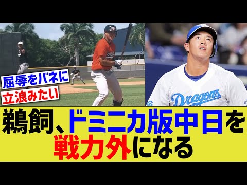 鵜飼、ドミニカ版中日ドラゴンズから戦力外通告される…【なんJ なんG野球反応】【2ch 5ch】