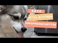 Kaya in the Kitchen: Espresso Martini Mocktail for Dogs