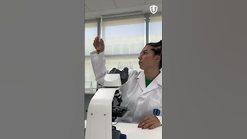 Accede a experiencias presenciales voluntarias dentro de OpenUNIVERSAE. 🔝