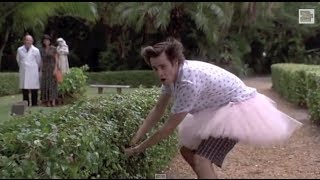 ace ventura pet detective tutu gif