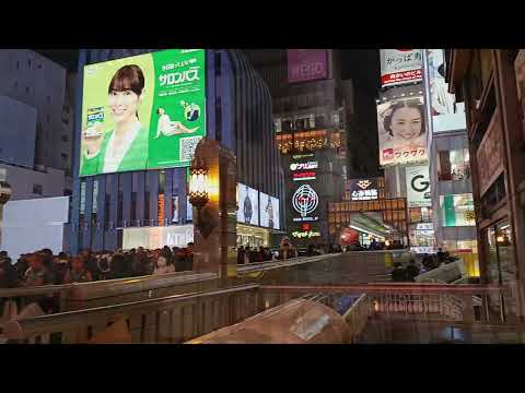 Dotonbori At Night PART 2 / Vlog Review No. 355
