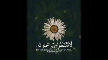 سورة الرحمن| سلمان العتيبي| Surah El Rahman 🧡