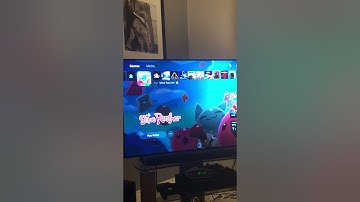 Slime rancher not working on PlayStation plus (share play Ps5)