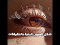 حلوه 🙌🏻 #عصابات #ميمي #لايك #اشتراك #تدرون #ميمي #تحبكم #ماني #خلق #احط #هاشتاق