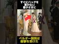 ベルギー国民が衝撃受けた雅子さまのご配慮