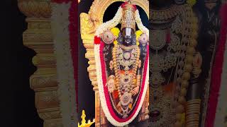 Sri Venkateshwara Swamy LED Glass Frame | Bring Tirumala Blessings Home | Akshara Glass