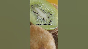 5 loại trái cây giàu Vitamin C giúp bạn có 1 cơ thể khỏe mạnh #trathaomoc #lamdep #hoaquatuoi #short