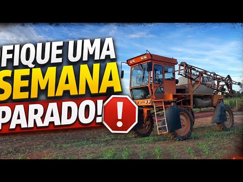 VOLTAMOS A ROTINA DEPOIS DE UMA SEMANA PARADO!