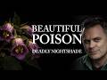 Belladonna: The Deadly Plant's Dark History 🌿